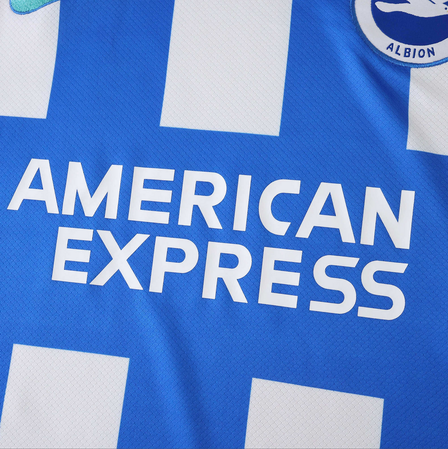 Brighton & Hove Albion Home 25-26