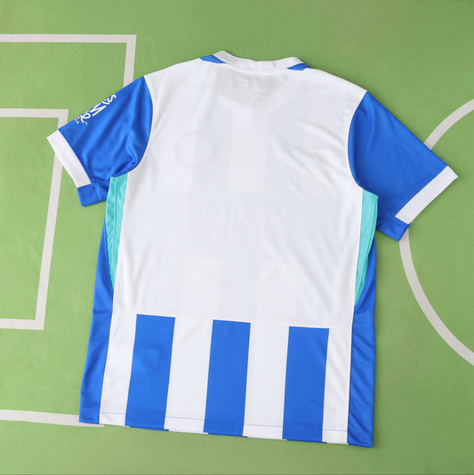Brighton & Hove Albion Home 25-26