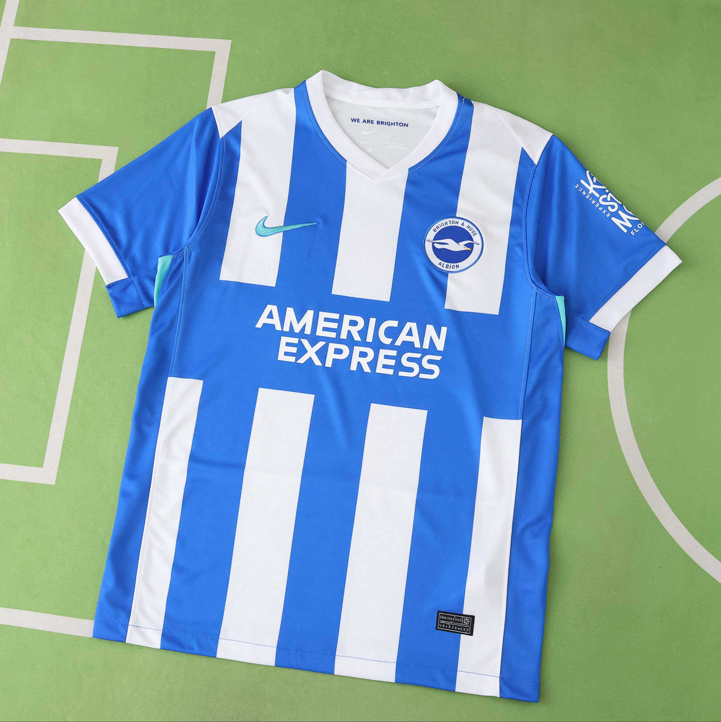 Brighton & Hove Albion Home 25-26