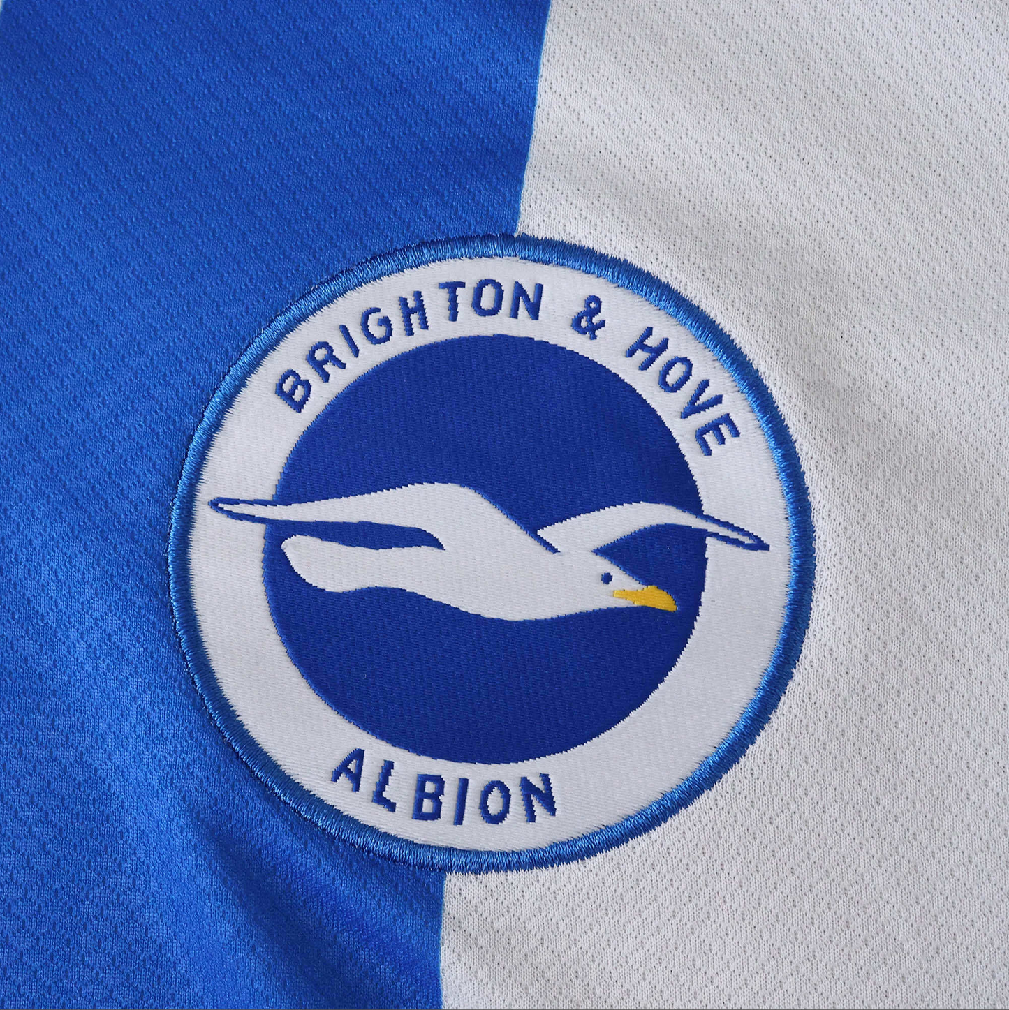 Brighton & Hove Albion Home 25-26