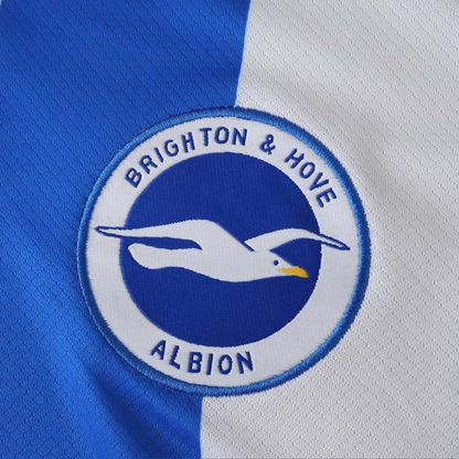 Brighton & Hove Albion Home 25-26