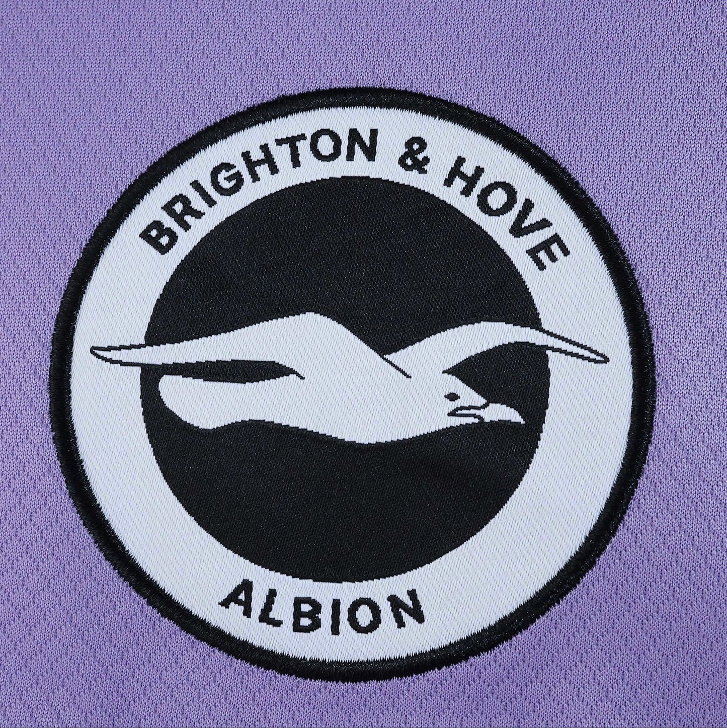 Brighton & Hove Albion Away 25-26