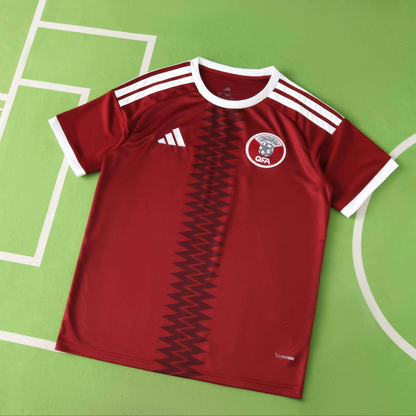 Qatar Home WC 2026
